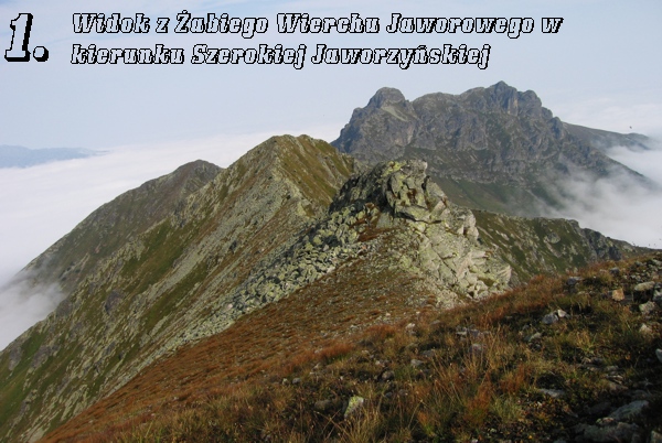 Żabi Wierch Jaworowy